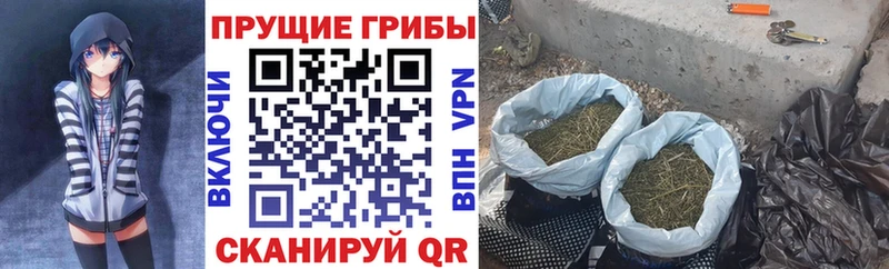 хочу наркоту  MEGA зеркало  Псилоцибиновые грибы MAGIC MUSHROOMS  Иланский 