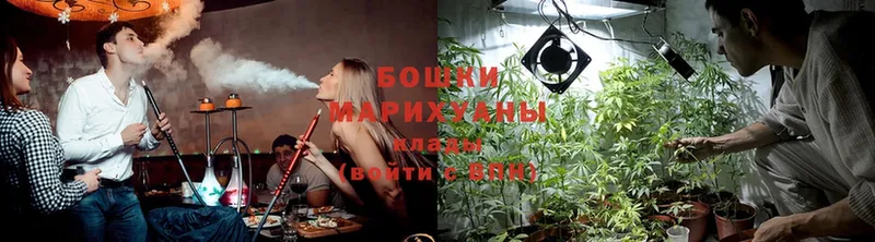 купить закладку  блэк спрут зеркало  Шишки марихуана SATIVA & INDICA  Иланский 